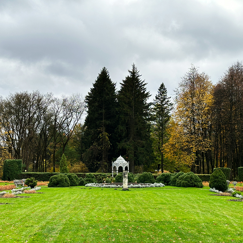 Центральный партер