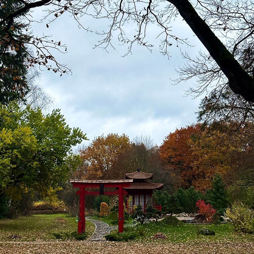 Экспозиция "Японский сад"