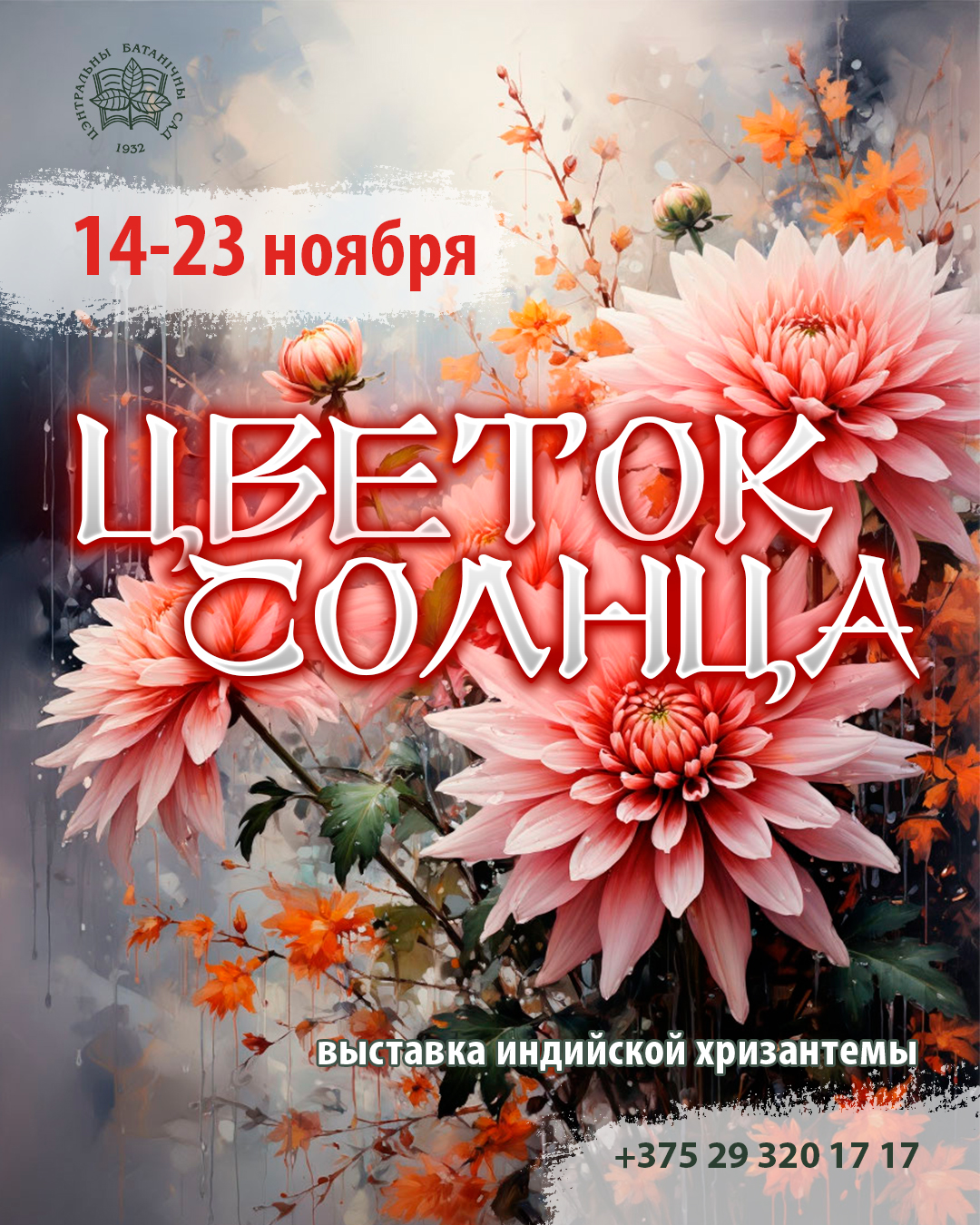 Цветок Солнца! Выставка коллекции индийских хризантем